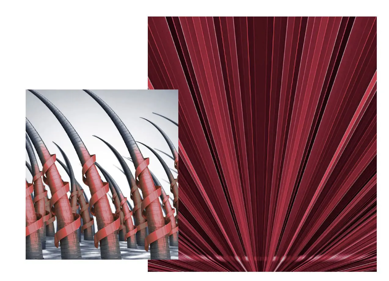 Hair Regrowth Laser Cap Hair Regrowth Laser Cap