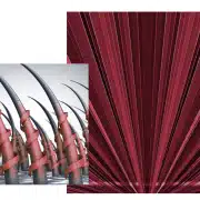 Hair Regrowth Laser Cap - Hair 4 Life Medical Hair 4 Life Medical - Dr. Kelemen