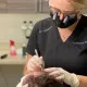 Hair Transplant Clinic in Scottsdale - Hair 4 Life Medical Hair 4 Life Medical - Dr. Kelemen