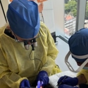 Long Hair FUE - Hair 4 Life Medical Long hair FUE workshop in Mexico City