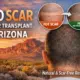 No Scar Hair Transplant Arizona myth