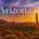 Sunset desert in Arizona with tall cacti and orange mountains, overlaid with the text 'Arizona Hair Transplant Doctors'.